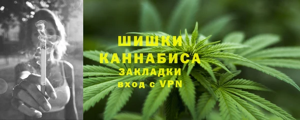 дурь Новозыбков