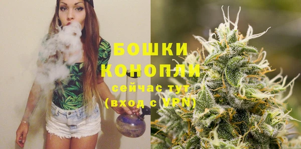 дурь Новозыбков