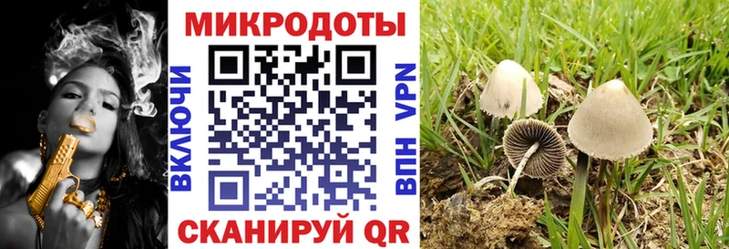 Псилоцибиновые грибы мицелий  Черногорск 
